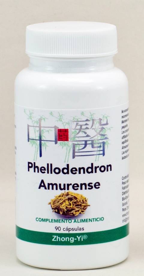 Phellodendron Amuerence (HUANGBAI 黄柏)